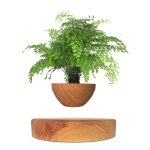 Balkon, binnenhuisdecoratie, groene plant, huisdecoratie, botanisch decoratieobject.